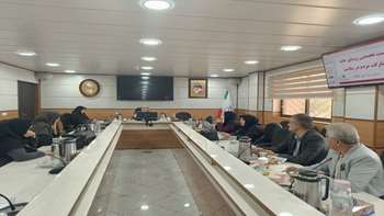 مشکلات روسای خانه مشارکت شهرستانها